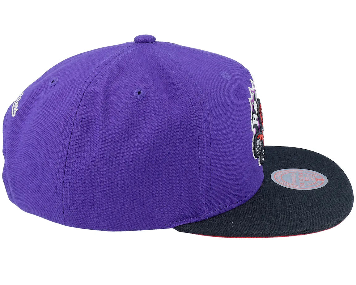 Mitchell & Ness Core Basic Snapback Toronto Raptors