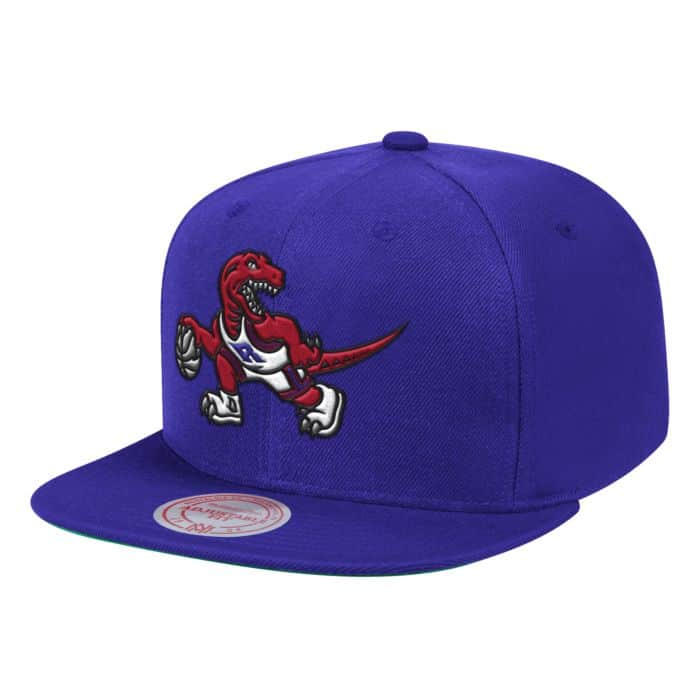 Mitchell & Ness Team Ground Snapback Toronto Raptors