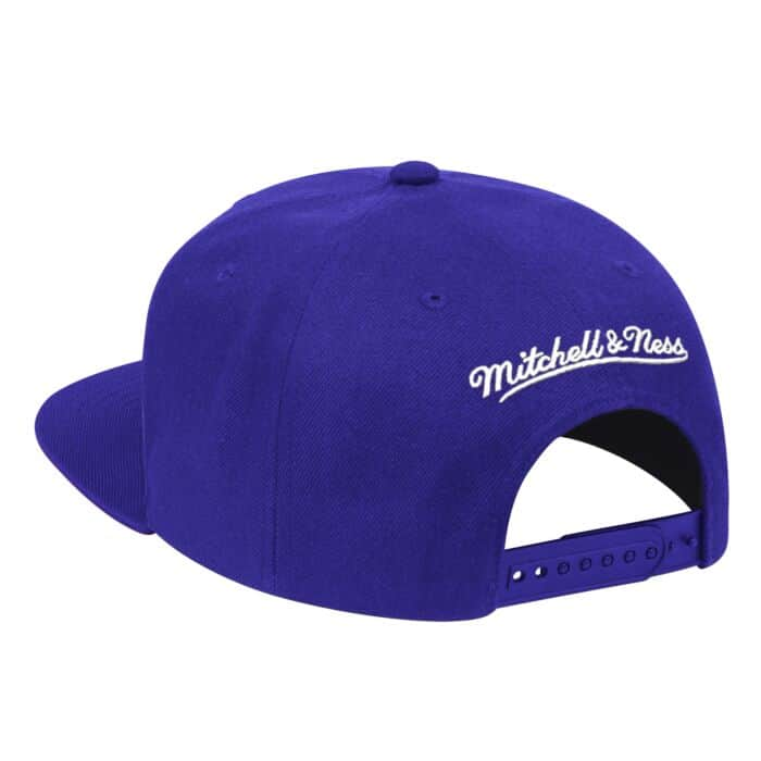 Mitchell & Ness Team Ground Snapback Toronto Raptors