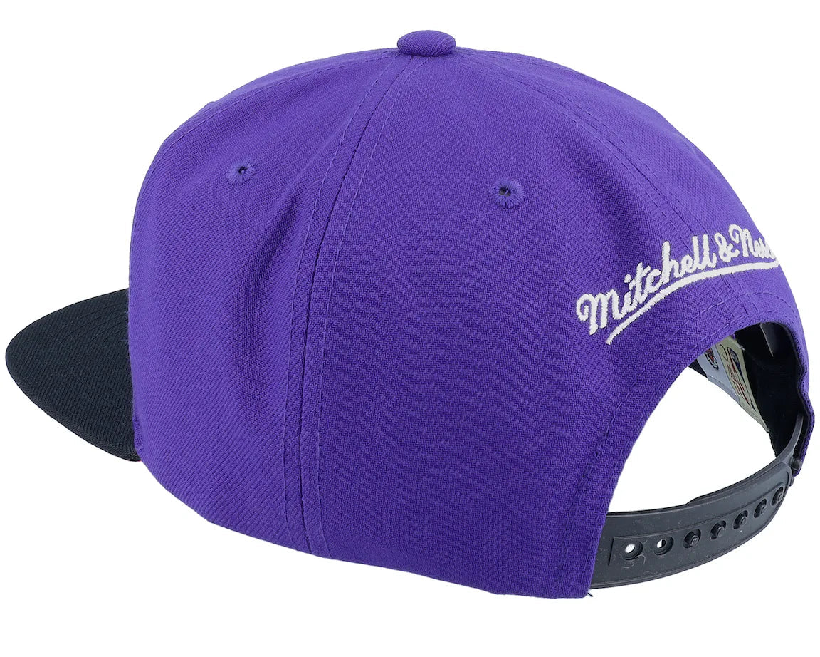 Mitchell & Ness Core Basic Snapback Toronto Raptors