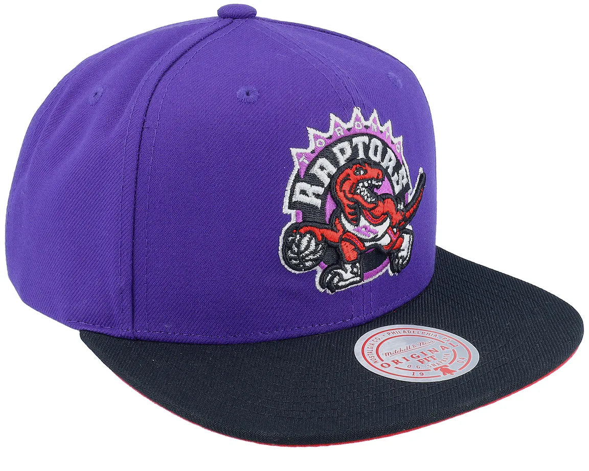 Mitchell & Ness Core Basic Snapback Toronto Raptors