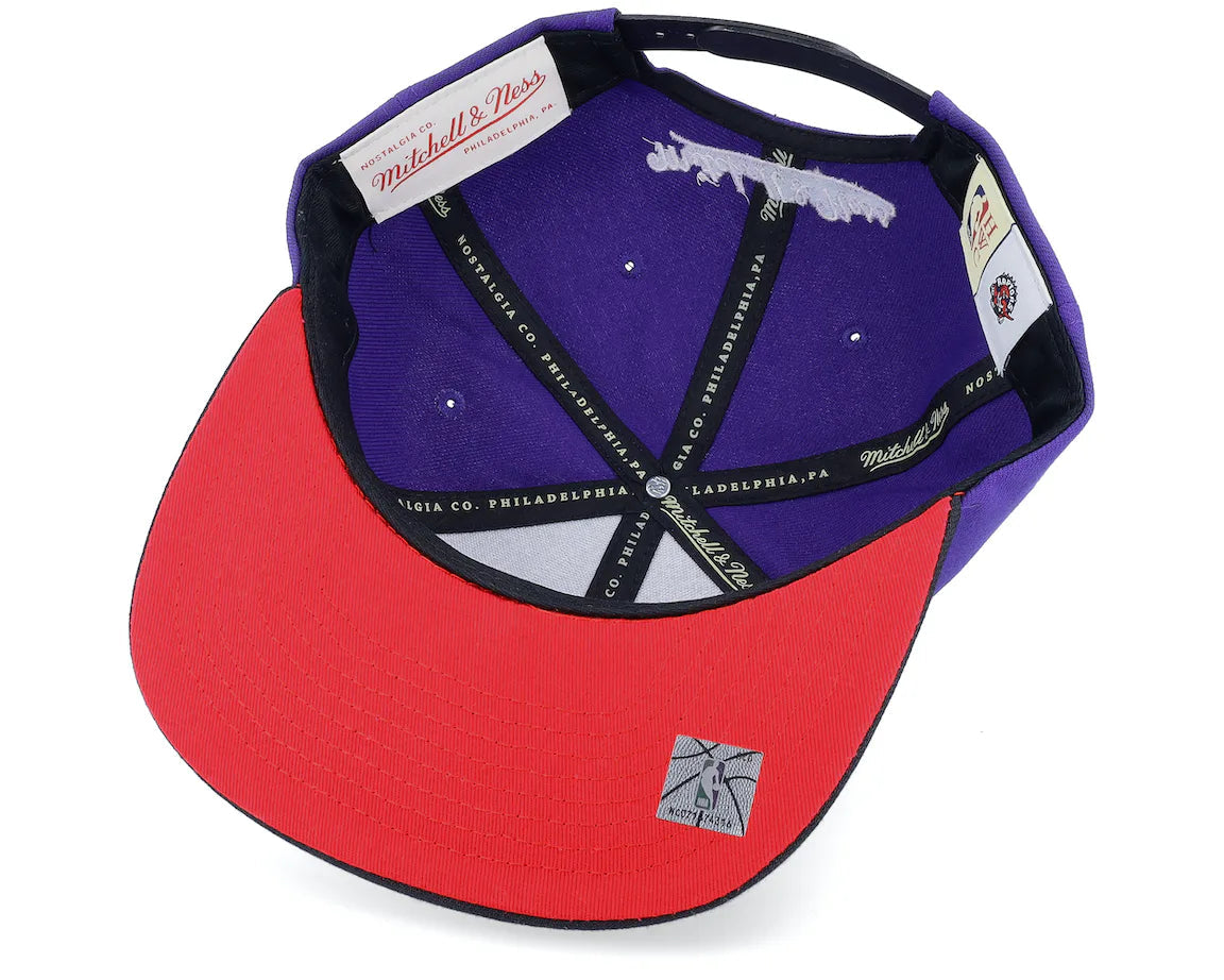 Mitchell & Ness Core Basic Snapback Toronto Raptors