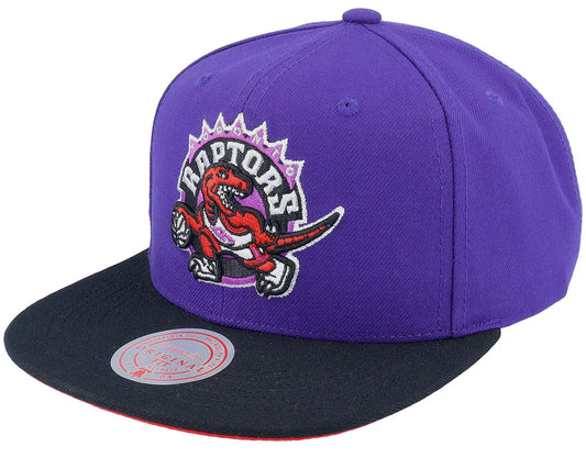 Mitchell & Ness Core Basic Snapback Toronto Raptors